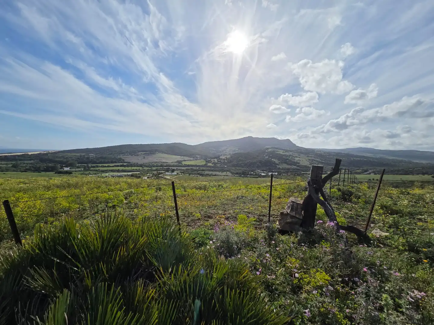 Terreno en venta en Tarifa