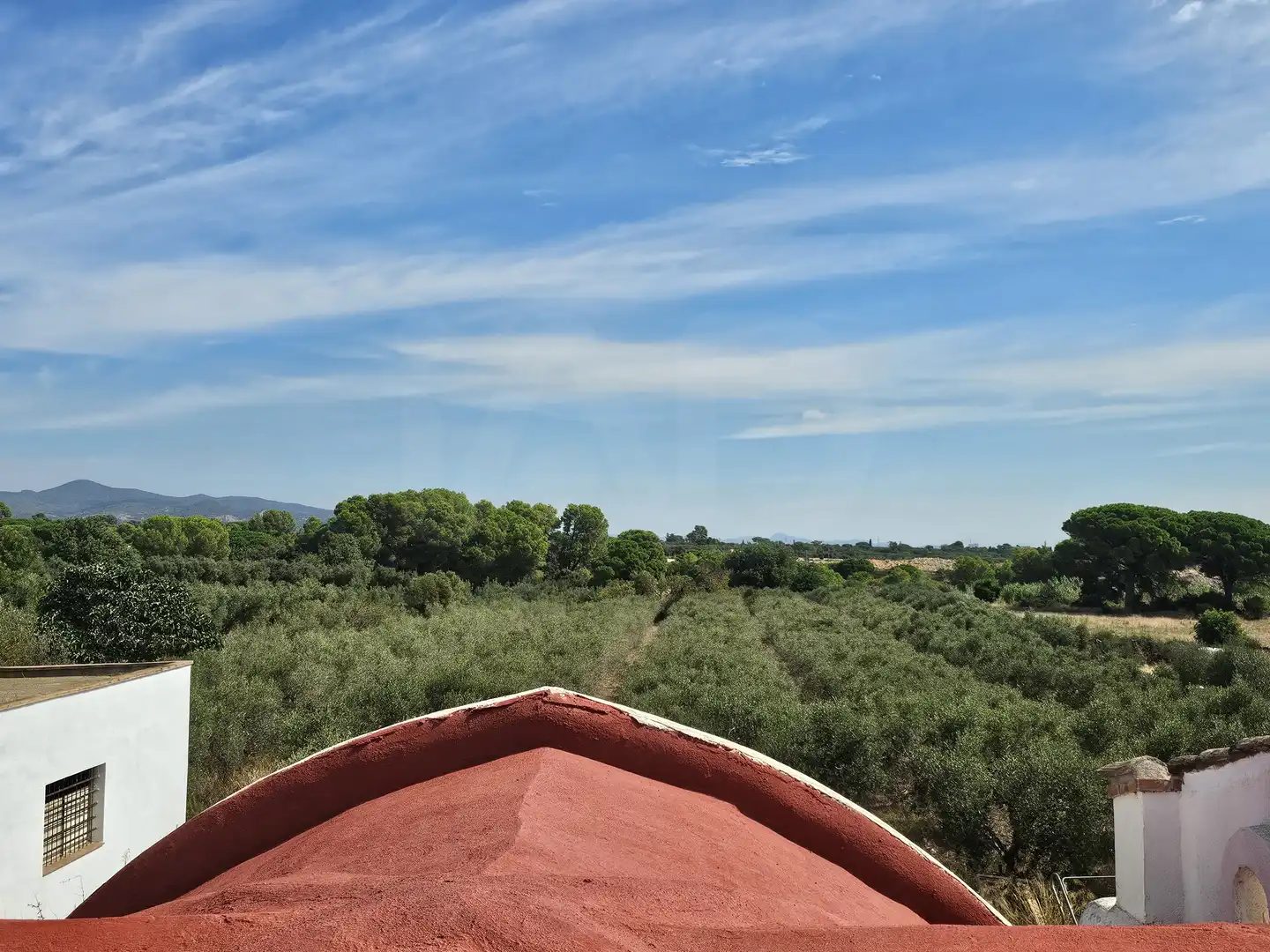 Casa rústica con piscina en venta en Montbrió del Camp, imagen 37