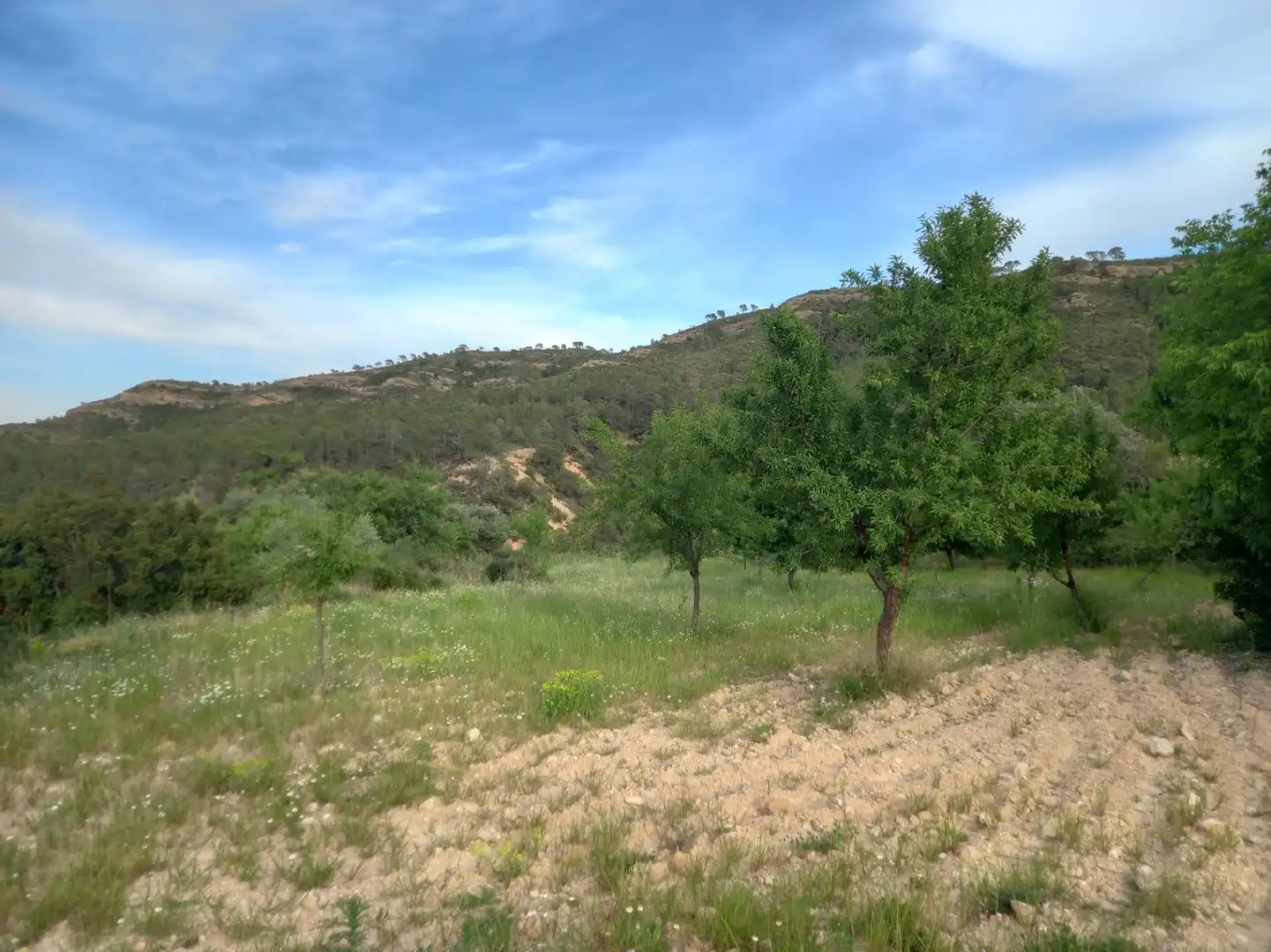 Rural land for sale in El Pinell de Brai, imagen 6