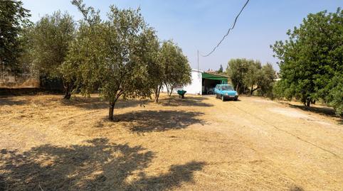 Foto 2 de Finca rústica en venta en Calle de Moraleda a Cómpeta, Moraleda de Zafayona, Granada
