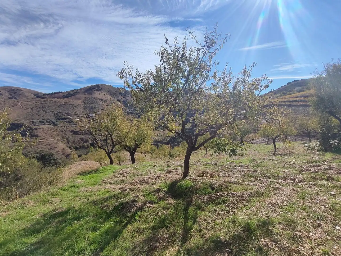 Terreni e lotti in vendita a Polígono 10, imagen 18