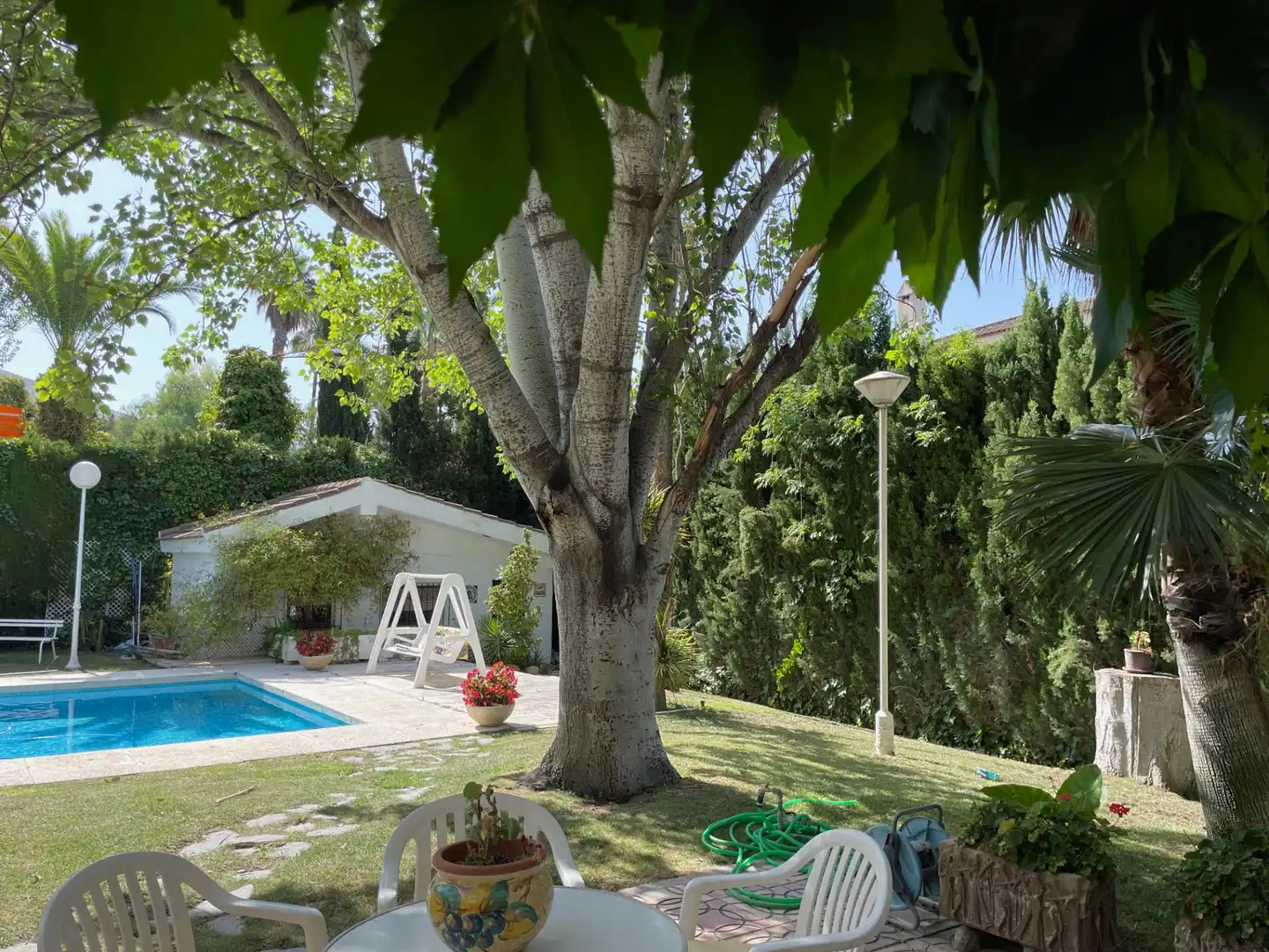 Jardín de Casa o chalet en venta en Petrer con Aire acondicionado, Calefacción y Jardín privado