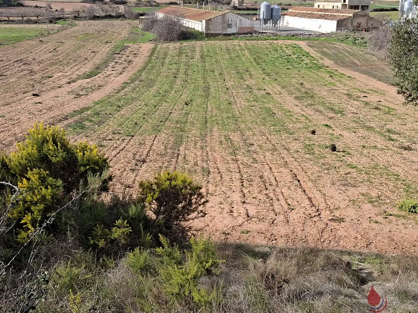 Lands and plots for sale in Cabra del Camp, imagen 5