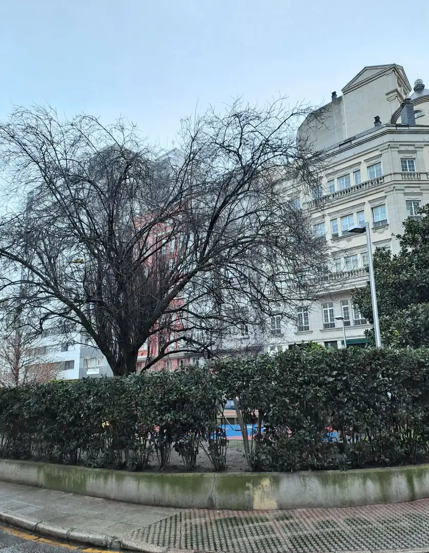 Vista exterior de Piso en venta en A Coruña Capital  con Terraza y Balcón