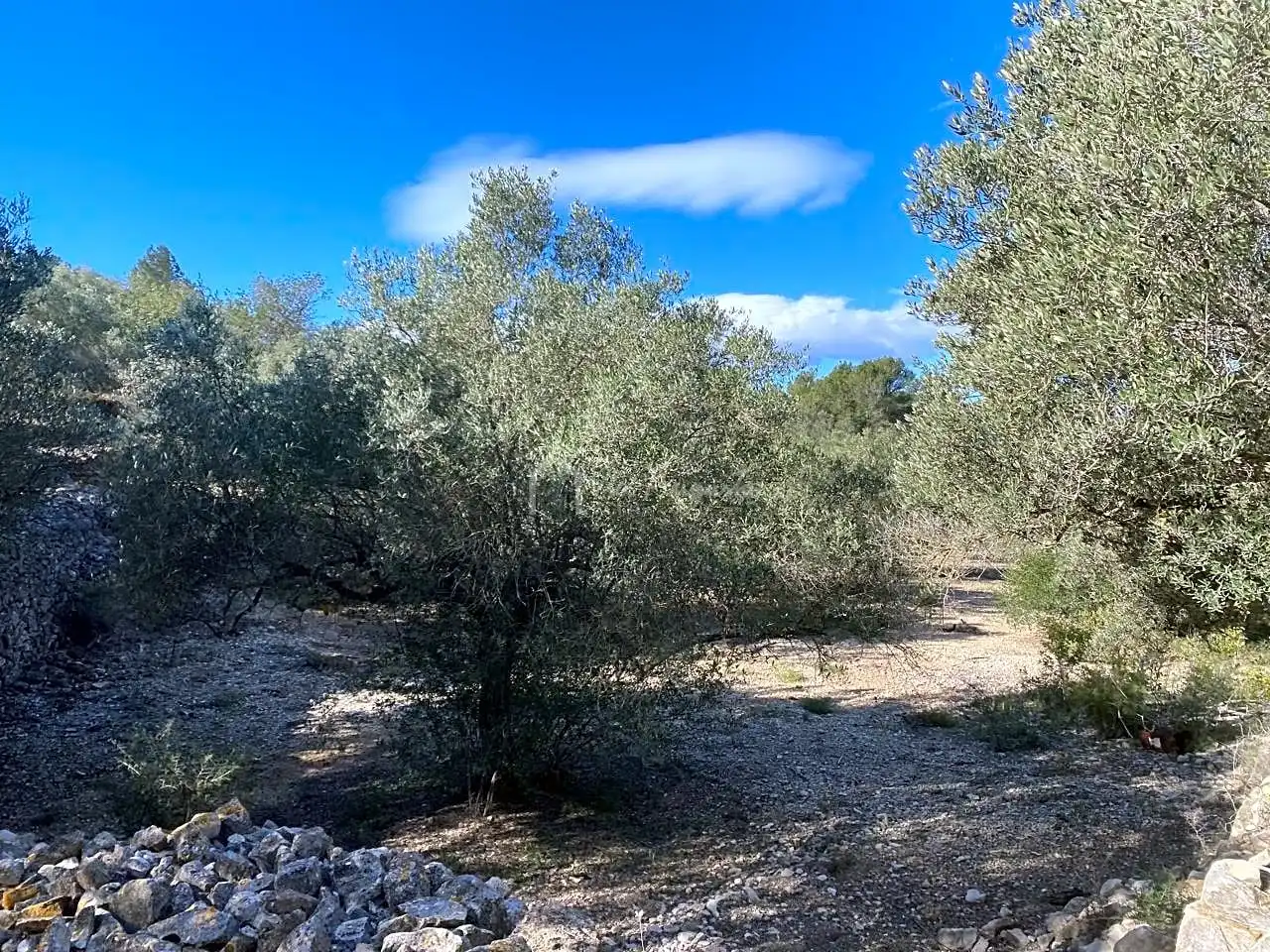 Terreno rustico in vendita a Aubachs, imagen 12