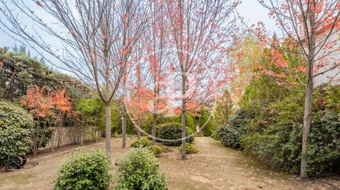Foto 4 de Casa o xalet en venda a Molino de la Hoz, Madrid