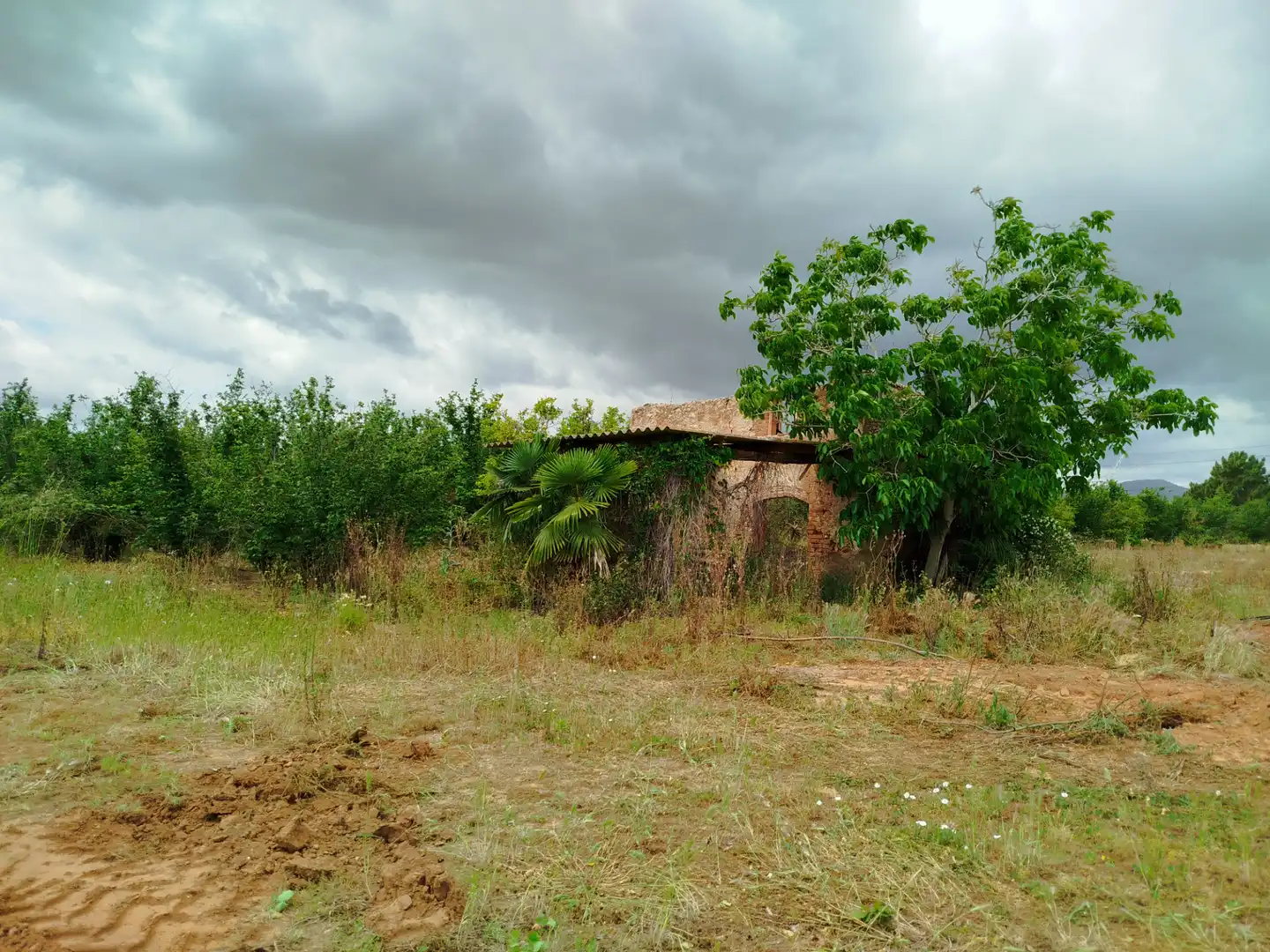 Land for sale in Vilallonga del Camp