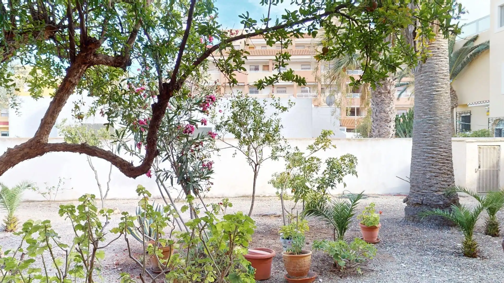 Garden of Houses for sale in Roquetas de Mar