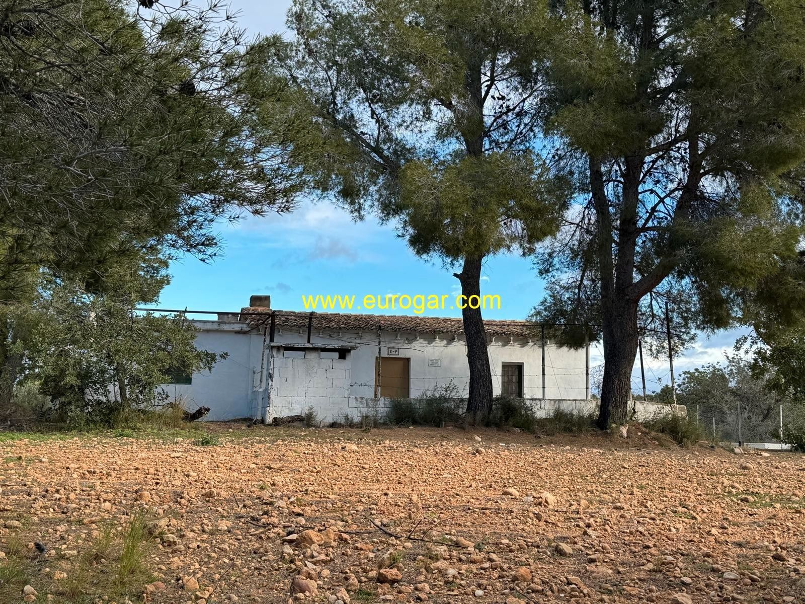 Finca rústica en venda en Cheste