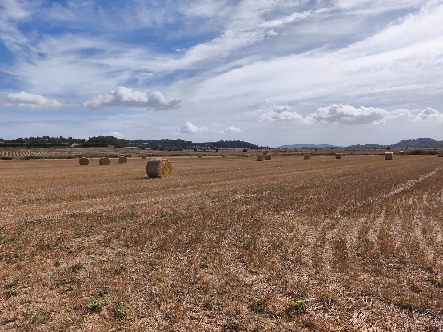 Terreno rustico in vendita a Diseminado Varis 217, imagen 3