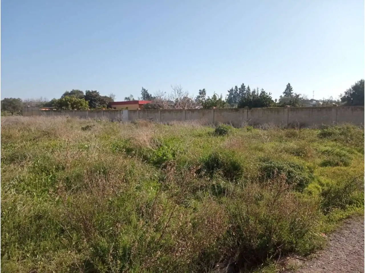Residential land for sale in La Jara, imagen 3