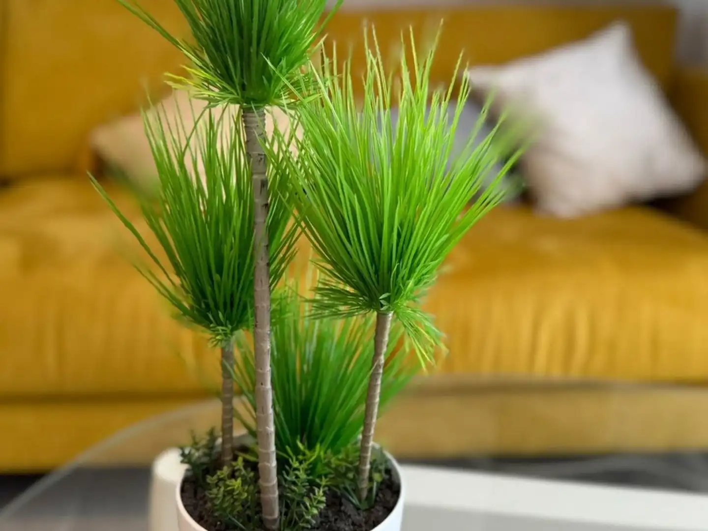 Jardín de Piso en venta en Mojácar con Aire acondicionado, Terraza y Amueblado