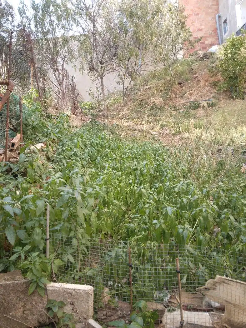 Terreno residenziale in vendita a Carrer de Briquets 65, imagen 18