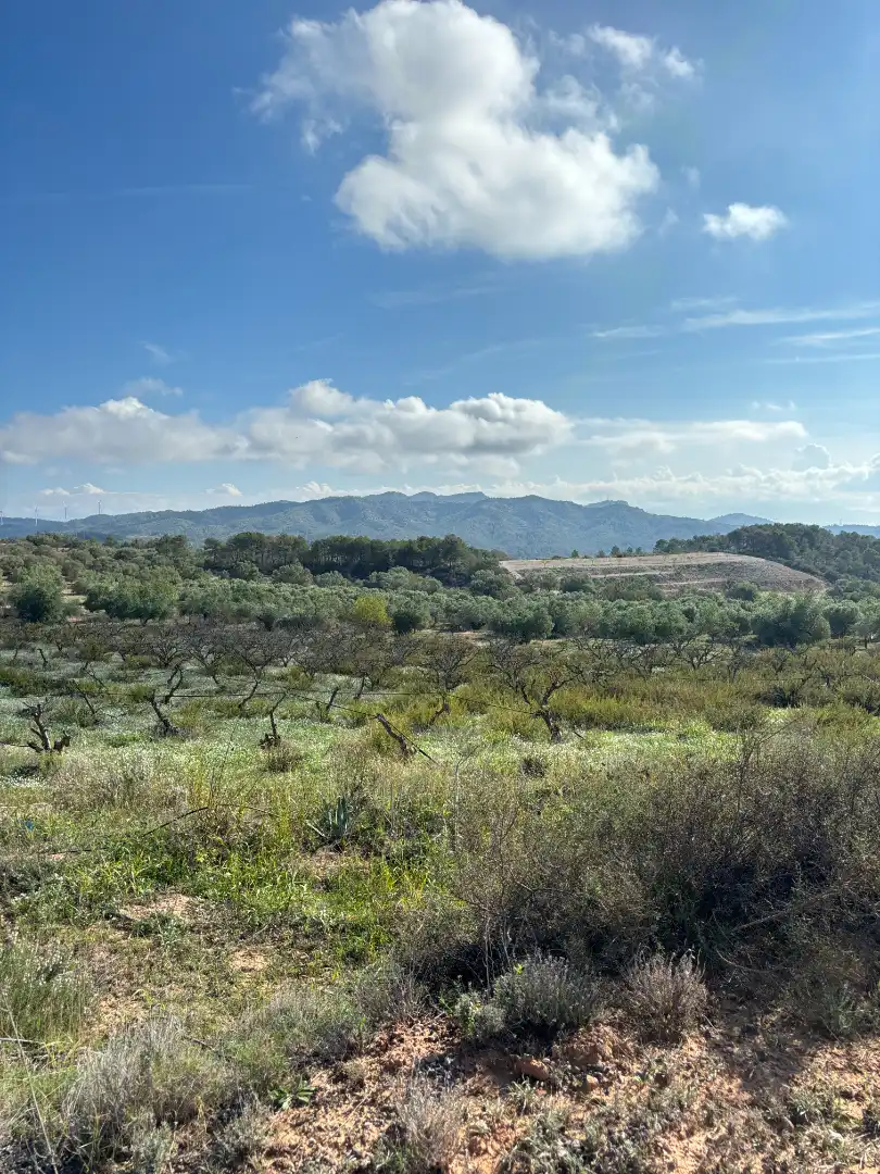Terreno en venta en La Fatarella