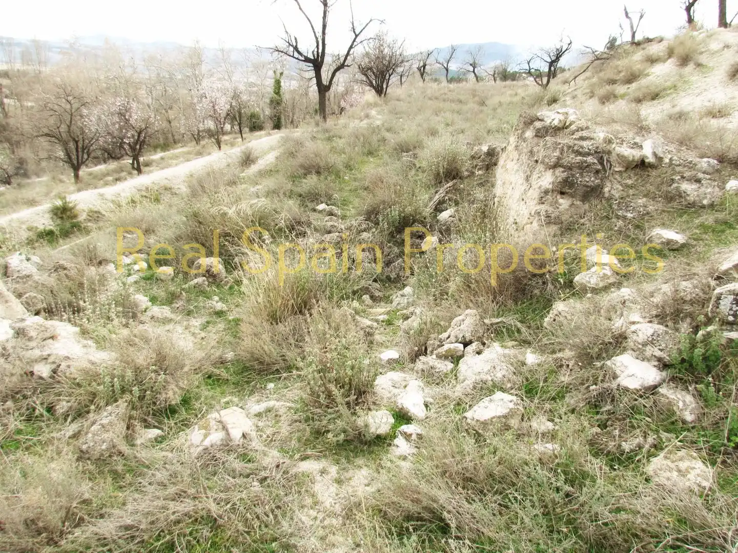 Terrenos y solares en venta en Vélez-Blanco, imagen 10