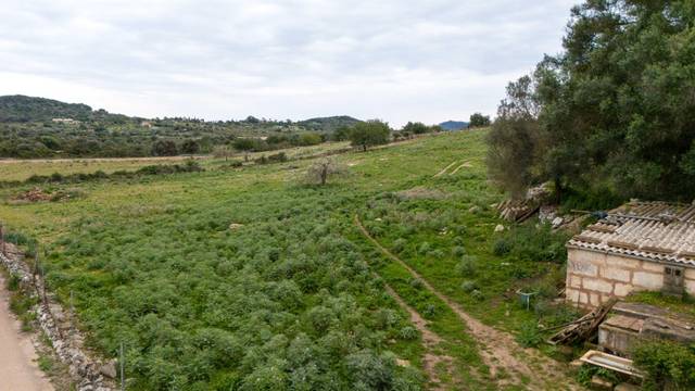 Terreno en Venta en Zona d'Interior