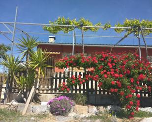 Garden of House or chalet for sale in Lorca  with Terrace