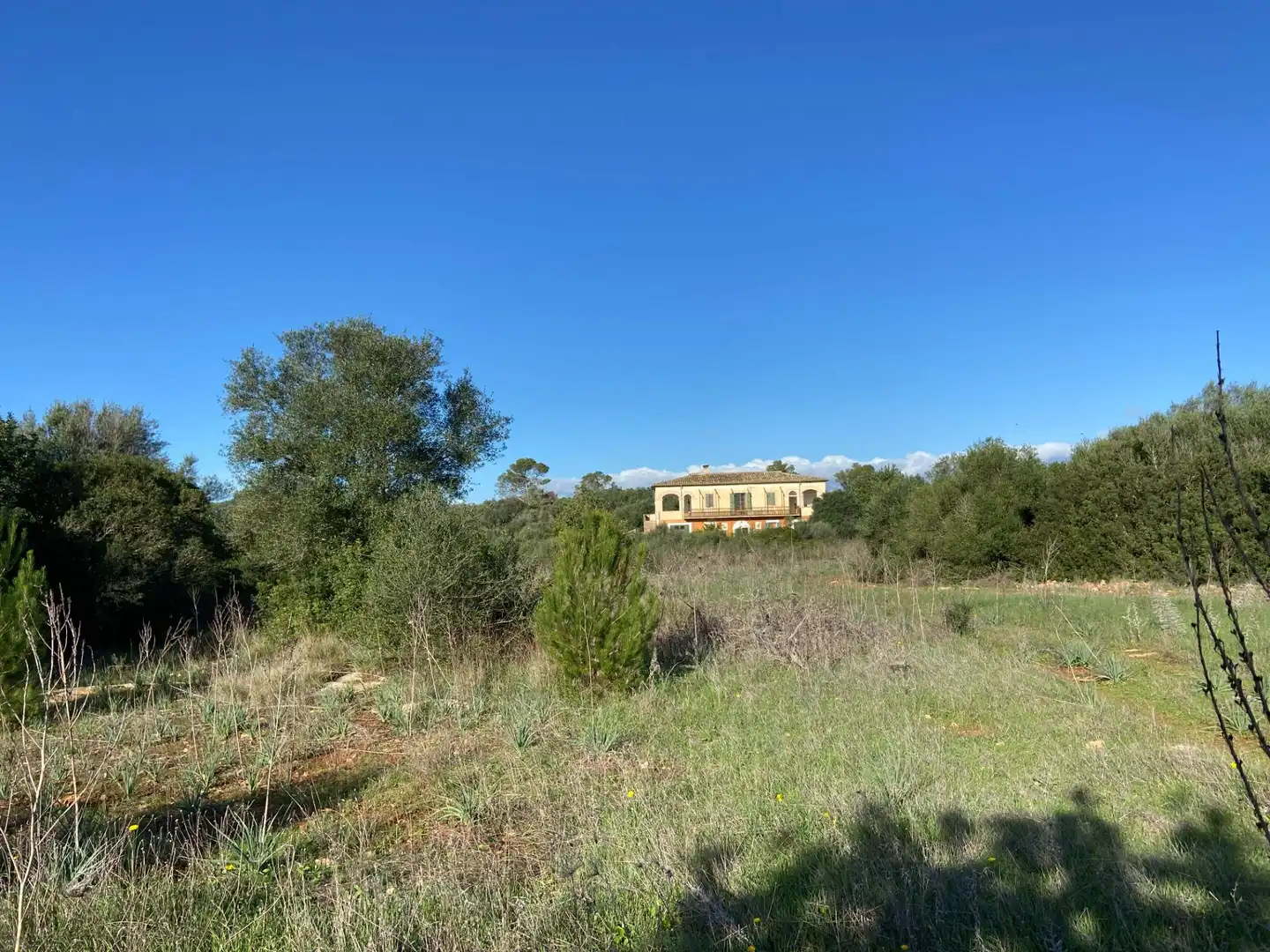 Maison rustique à vendre à Sineu, imagen 29