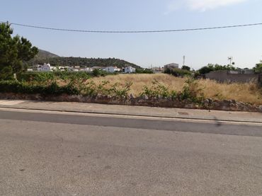 Terreni e lotti in vendita a Alcanar