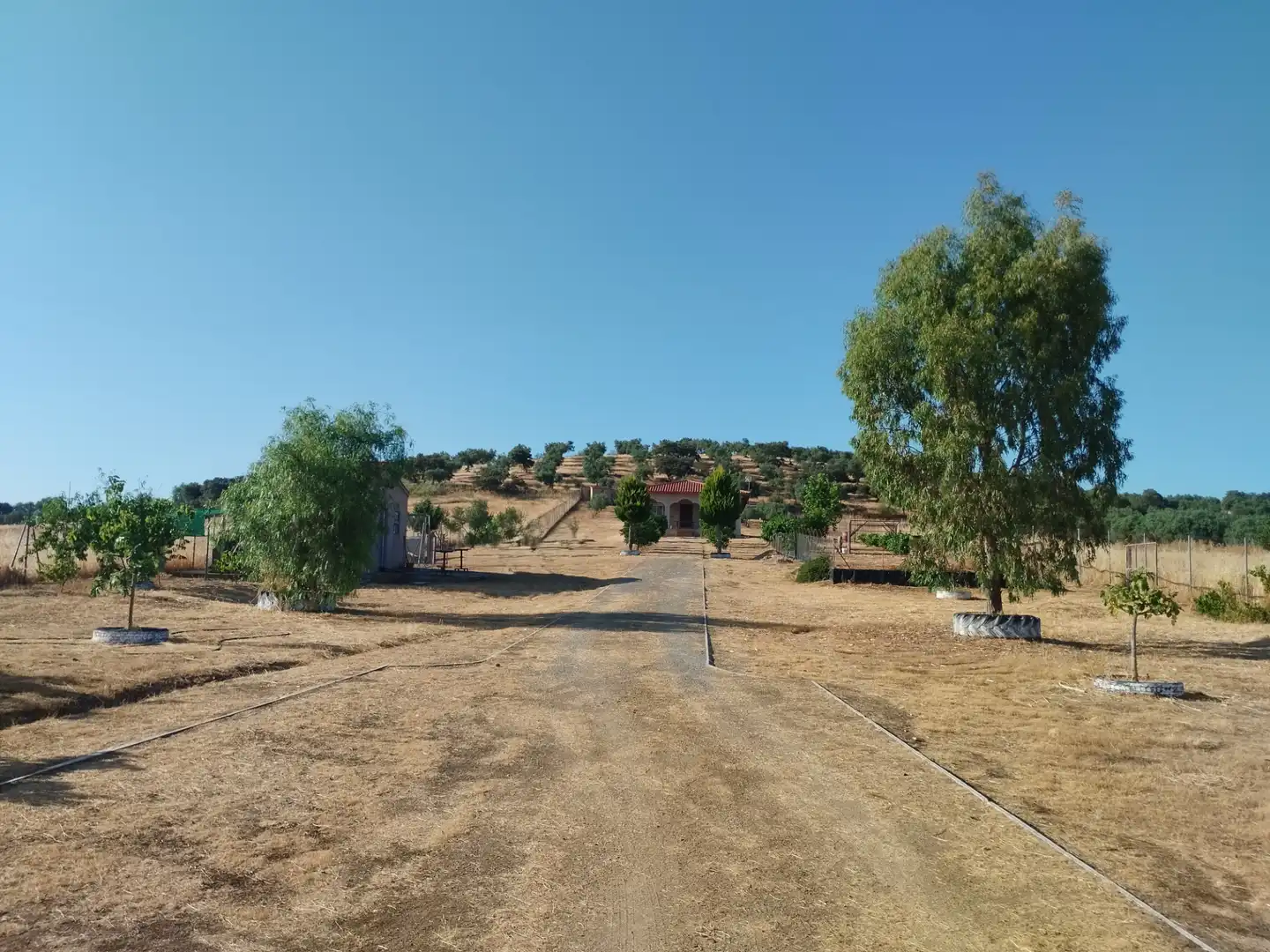Finca rústica en venda en Atalaya amb Jardí privat i Traster