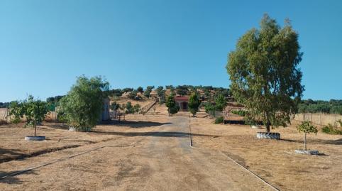 Photo 3 of Country house for sale in Atalaya, Badajoz