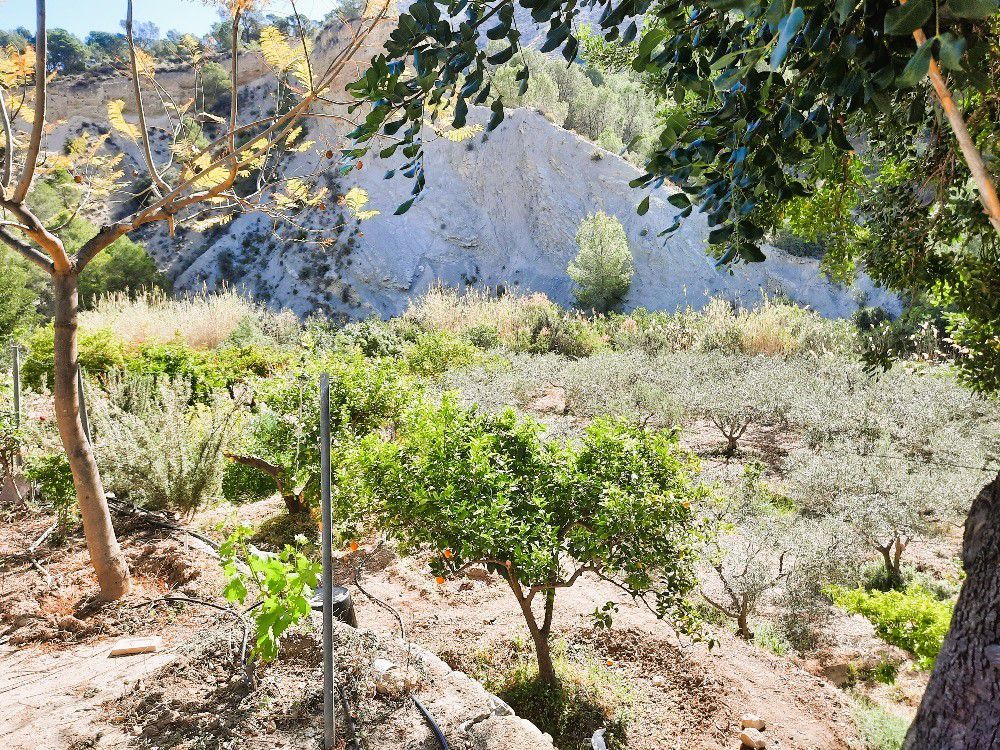 Country house for sale in Orxeta