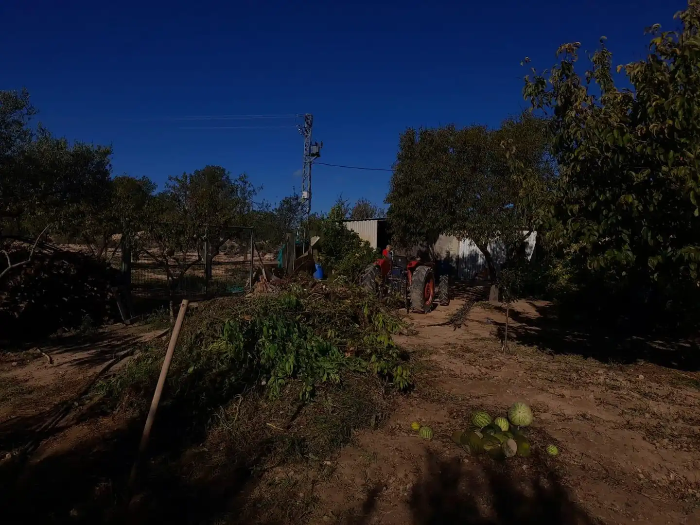 Jardí de Casa o xalet en venda en Flix amb Jardí privat, Terrassa i Traster