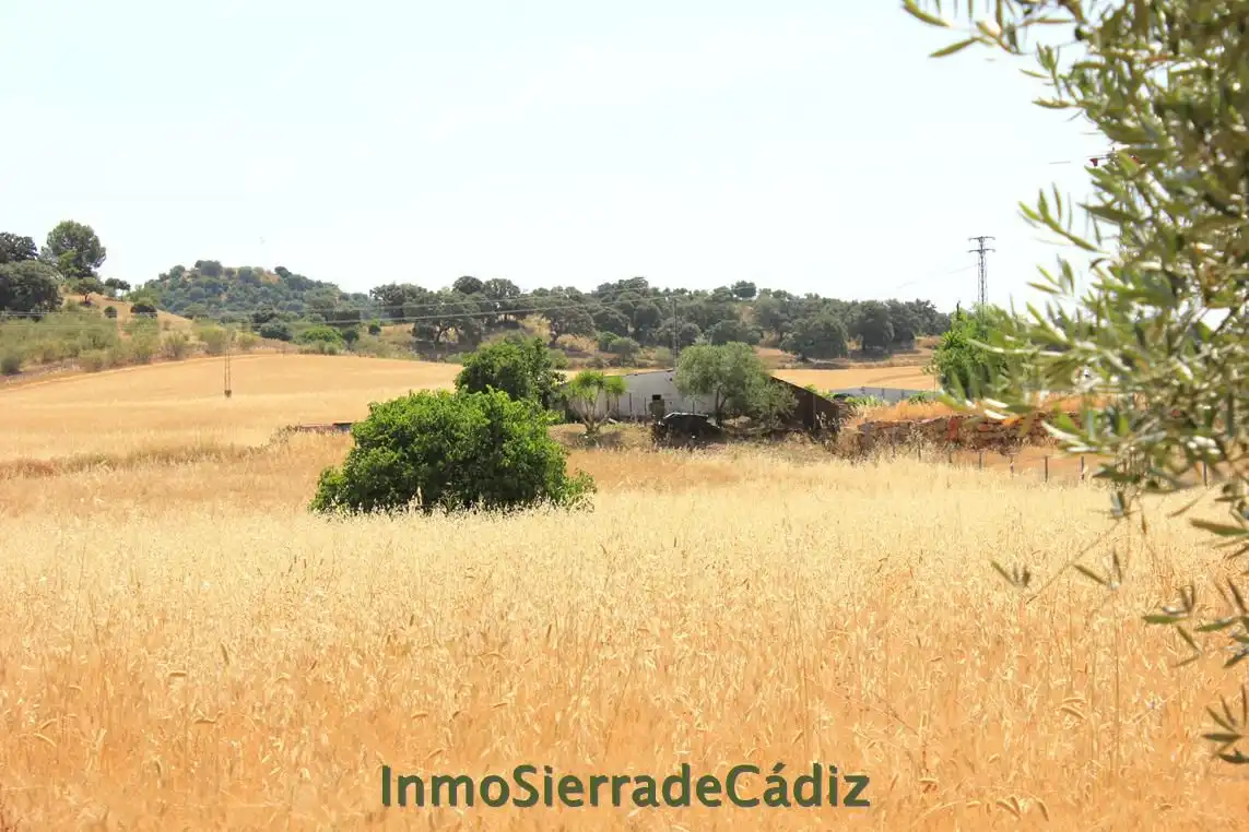 Casa rústica en venda a Algodonales, imagen 10