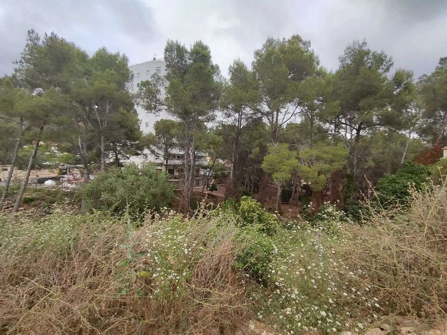 Residential land for sale in Gilet, imagen 7