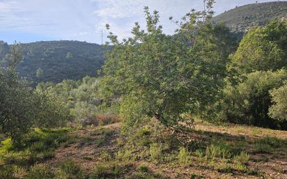 Country house for sale in Sant Carles de la Ràpita