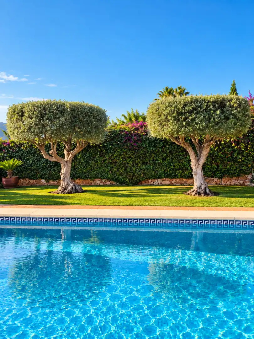 Country house with pool to rent in Port d'Andratx, imagen 51