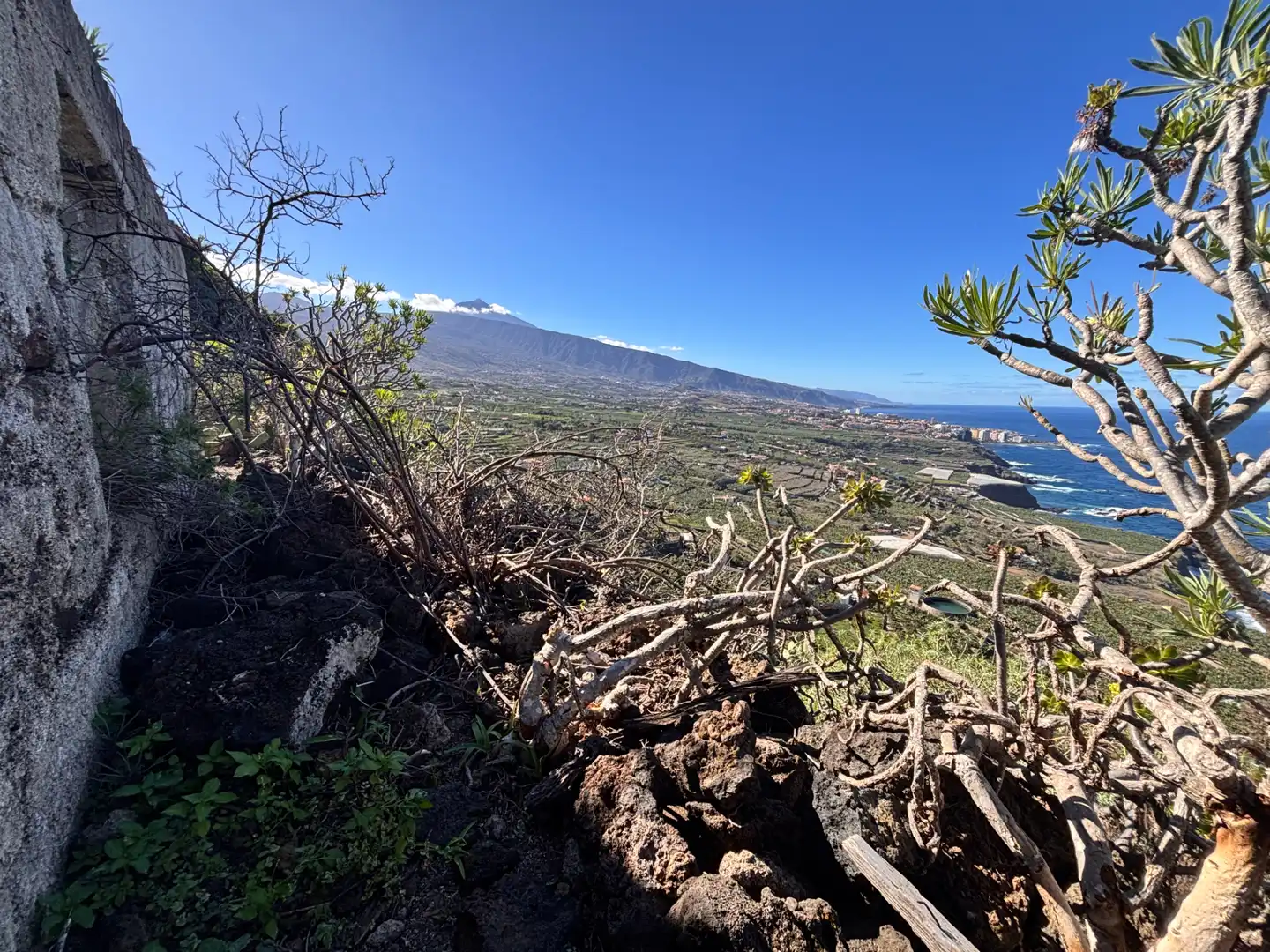 Terreno rustico in vendita a Camino de San Diego, imagen 24