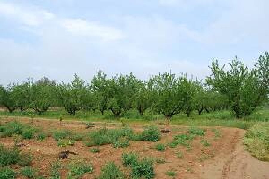 Finca rústica en venda en Llíria