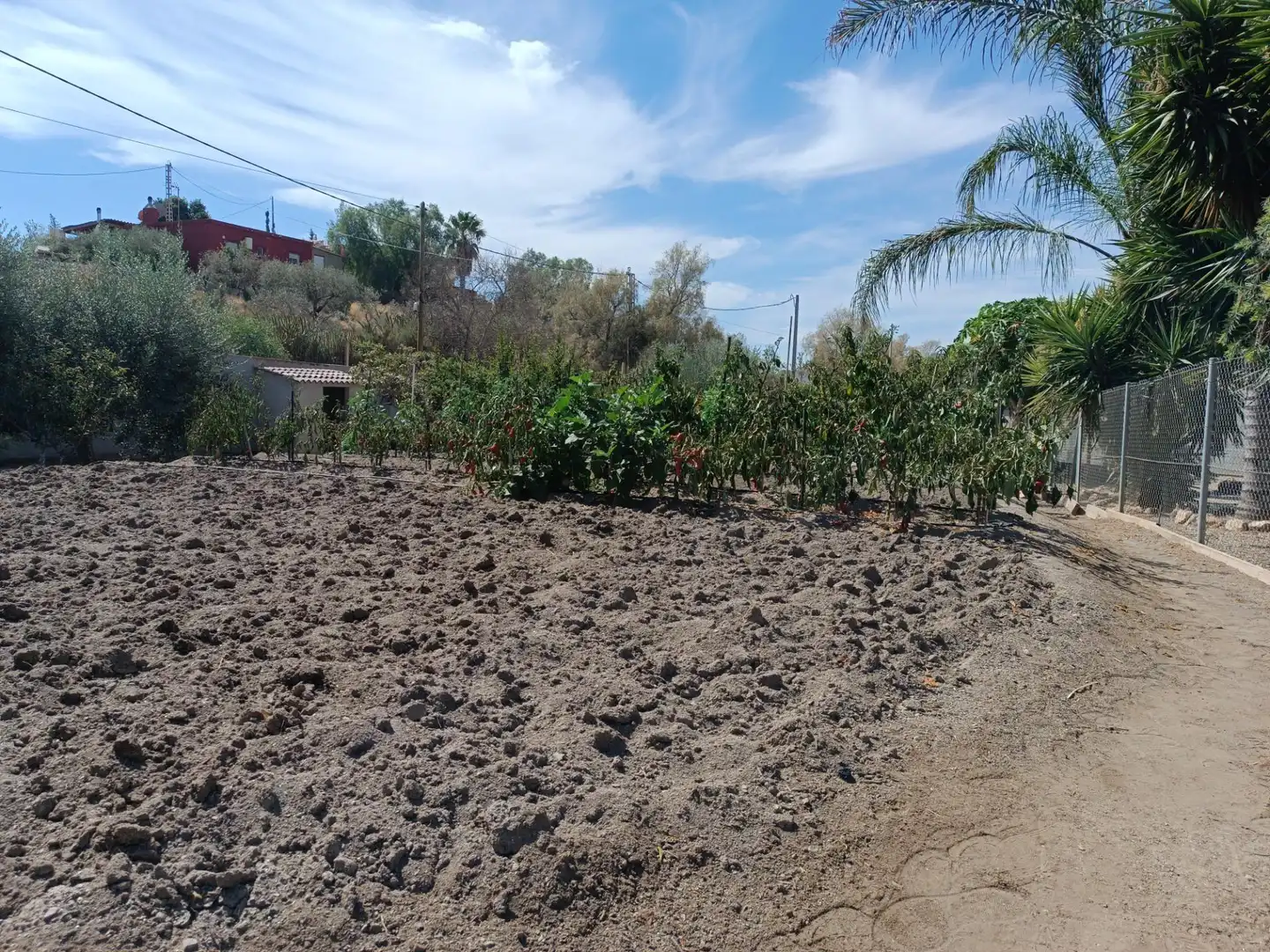 Xalet amb terrassa en venda a Tébar - Los Arejos, imagen 56
