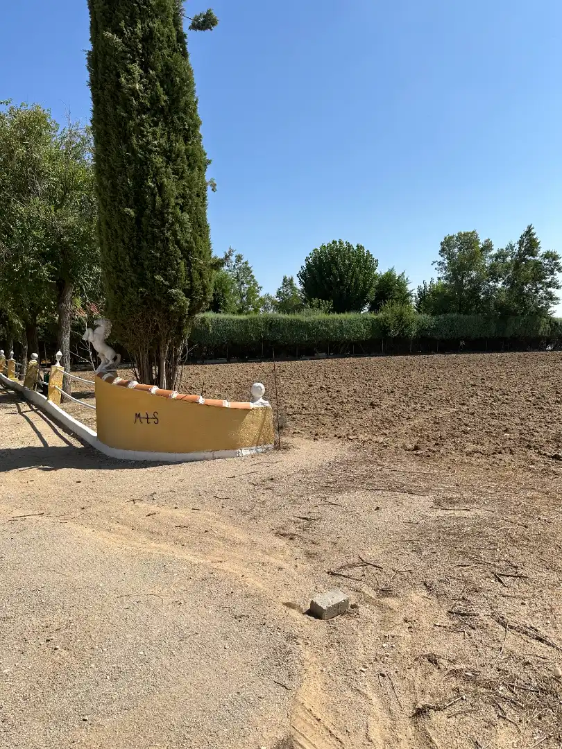 Country homes for sale in Cubas de la Sagra  with Air Conditioner, Heating and Private garden