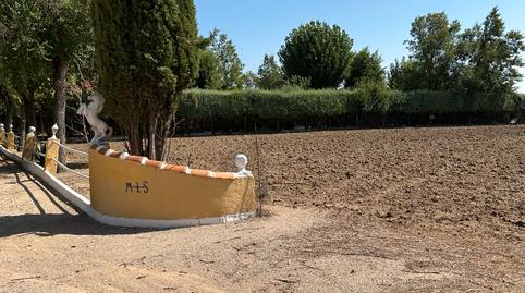 Foto 4 de Finca rústica en venda a Vial Camino Camino de Palomero, Cubas de la Sagra, Madrid