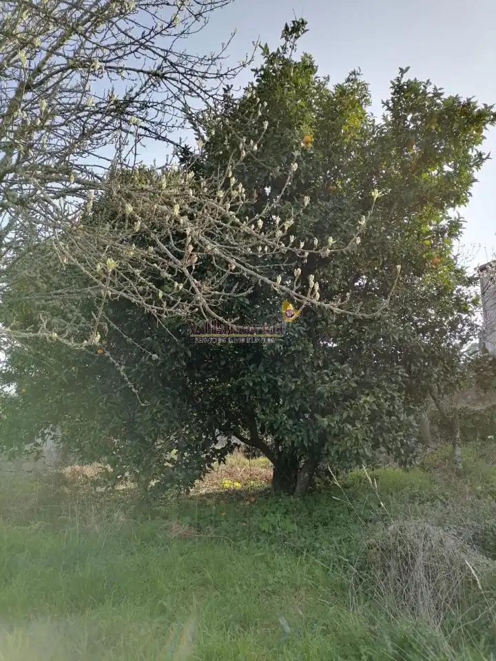 Maison avec jardin à vendre à Crecente, imagen 15