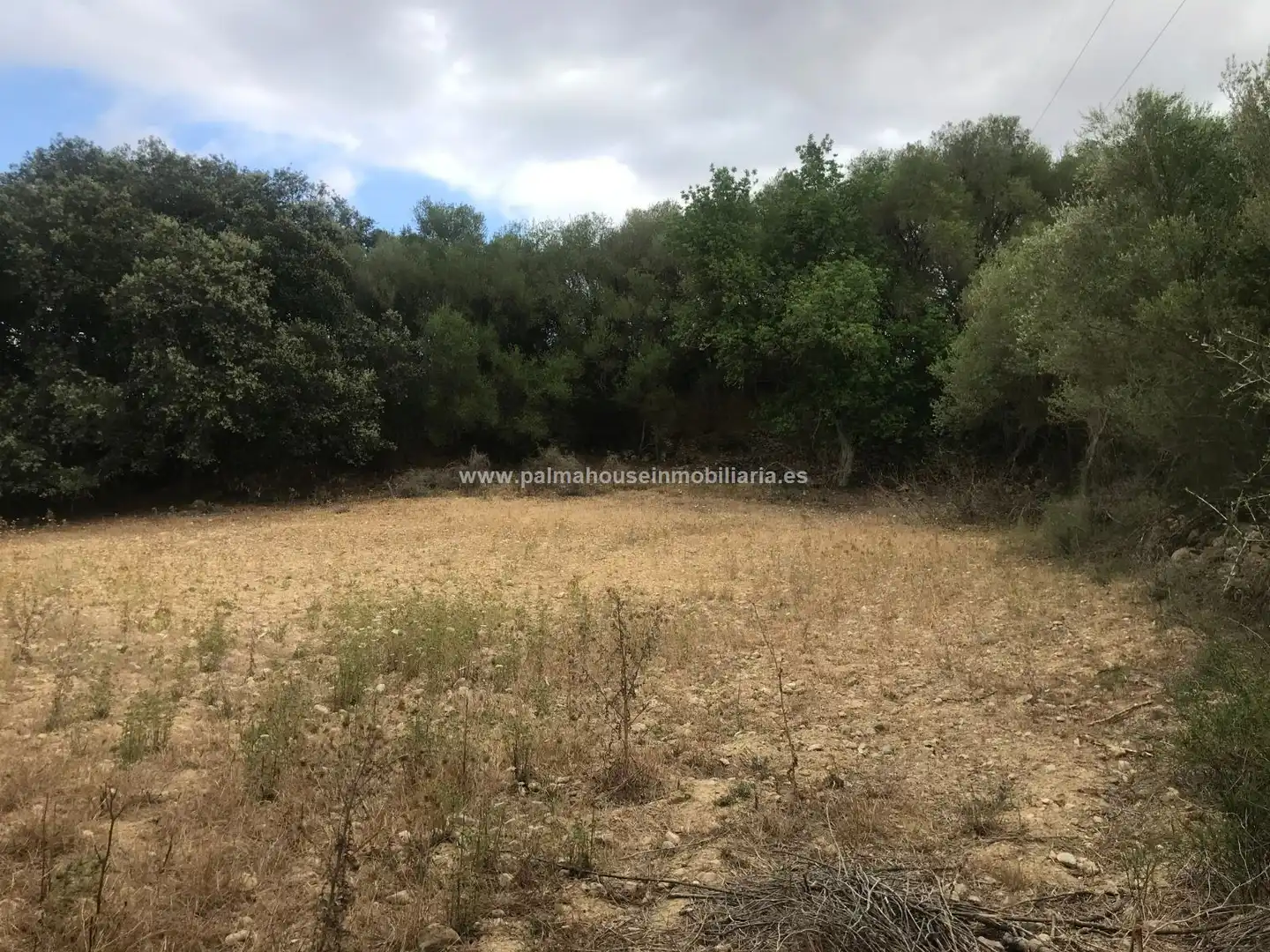 Finca rústica en venta en Maria de la Salut con Calefacción y Terraza