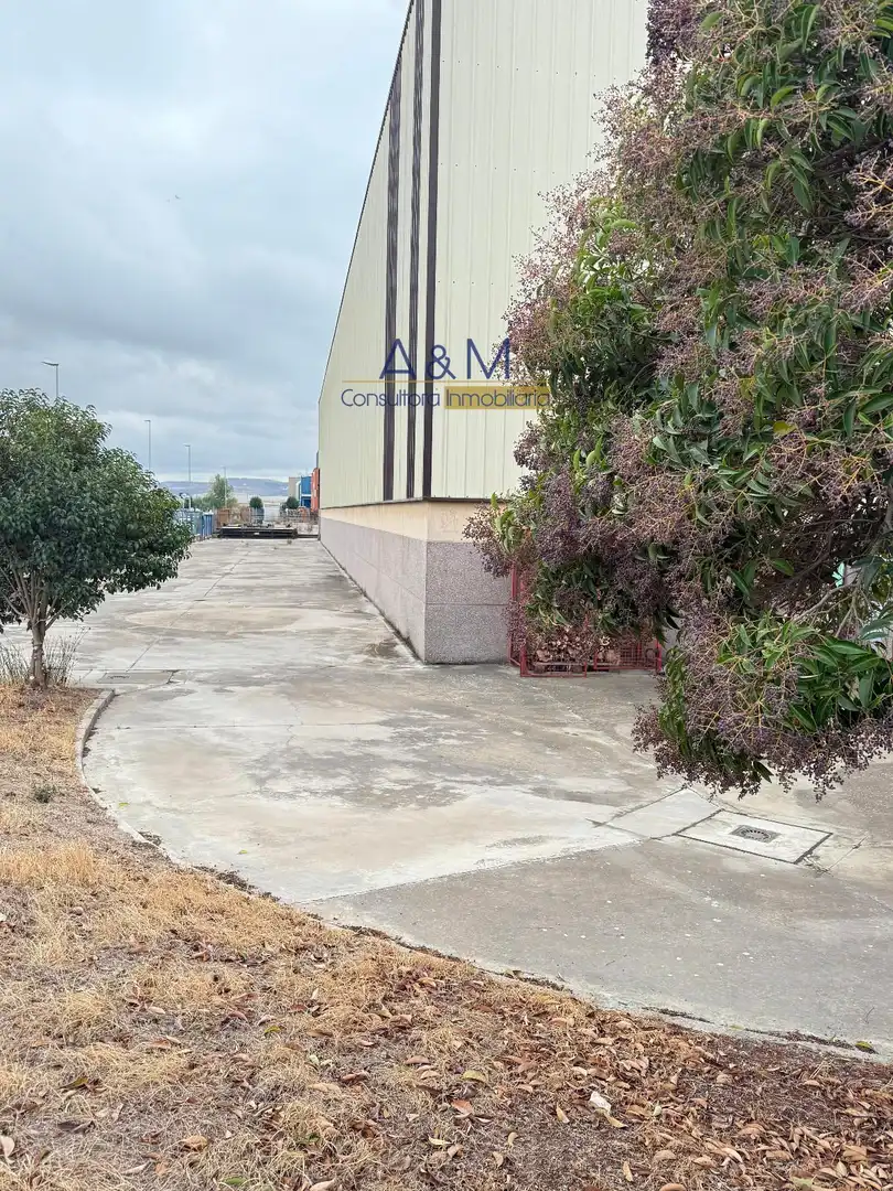 Exterior view of Industrial buildings for sale in Venta de Baños