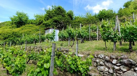 Foto 5 de Finca rústica en venda a Chantada, Lugo
