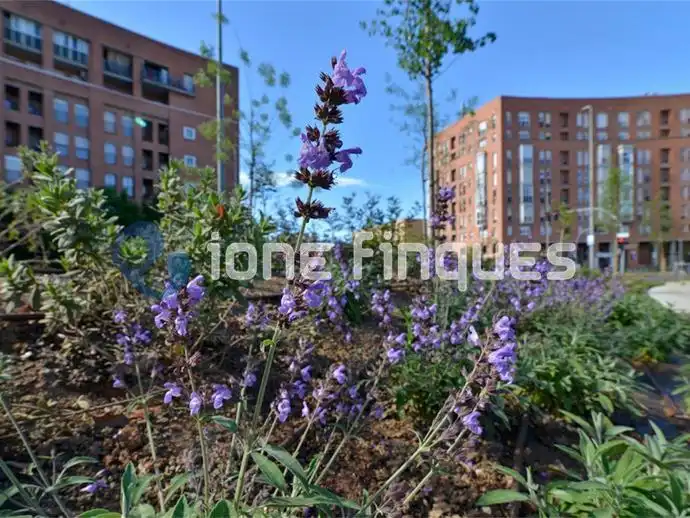 Flat for sale in Ca n'Oriac