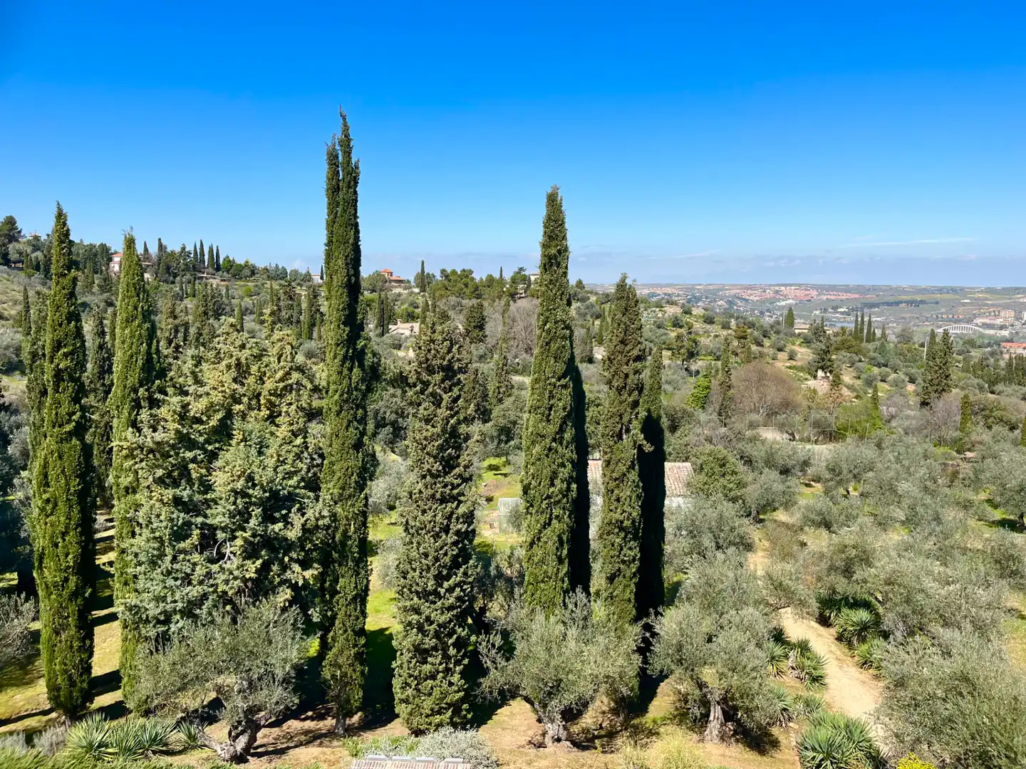 Garden of Houses for sale in Toledo  with Air Conditioner, Heating and Private garden
