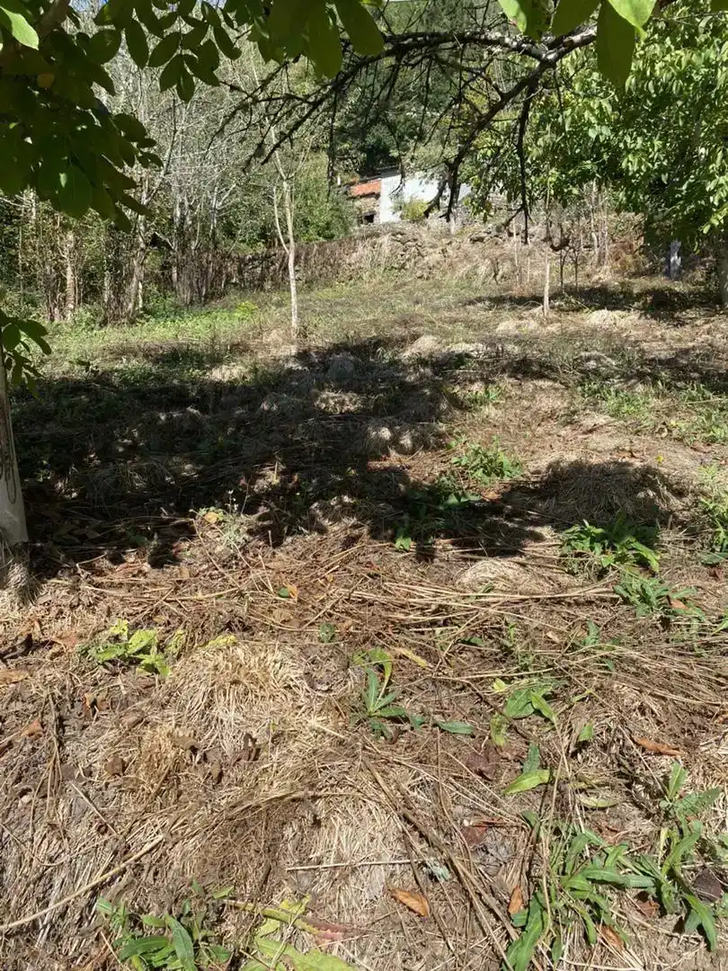 Pis en venda en Chantada