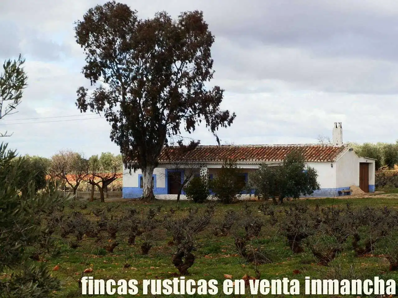 Rural land for sale in Valdepeñas, imagen 3