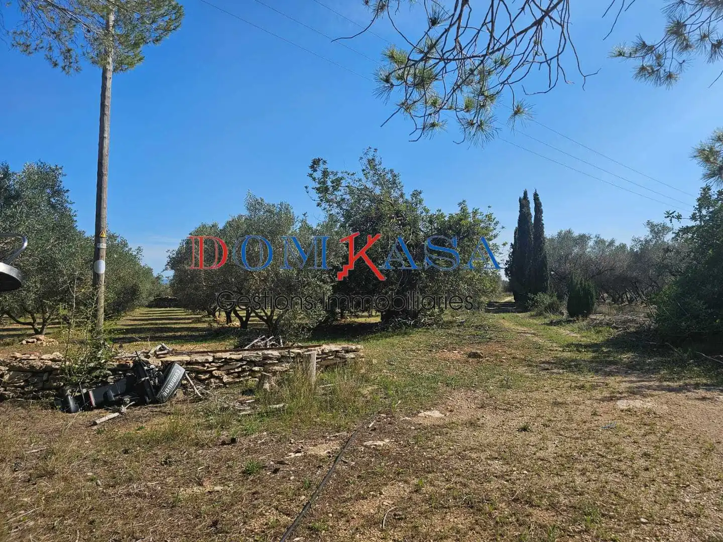 Rural land for sale in Roquetes, imagen 3