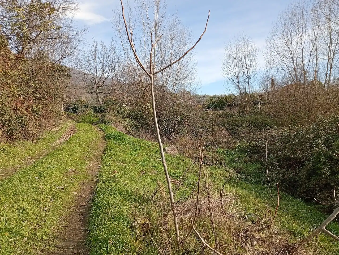 Terreni e lotti in vendita a Valverde de la Vera