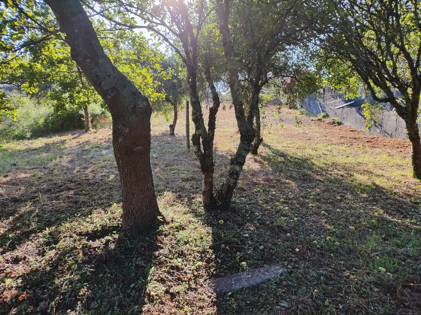Wohnbaugrundstück zum Verkauf in Camiño Eixon 18, imagen 8