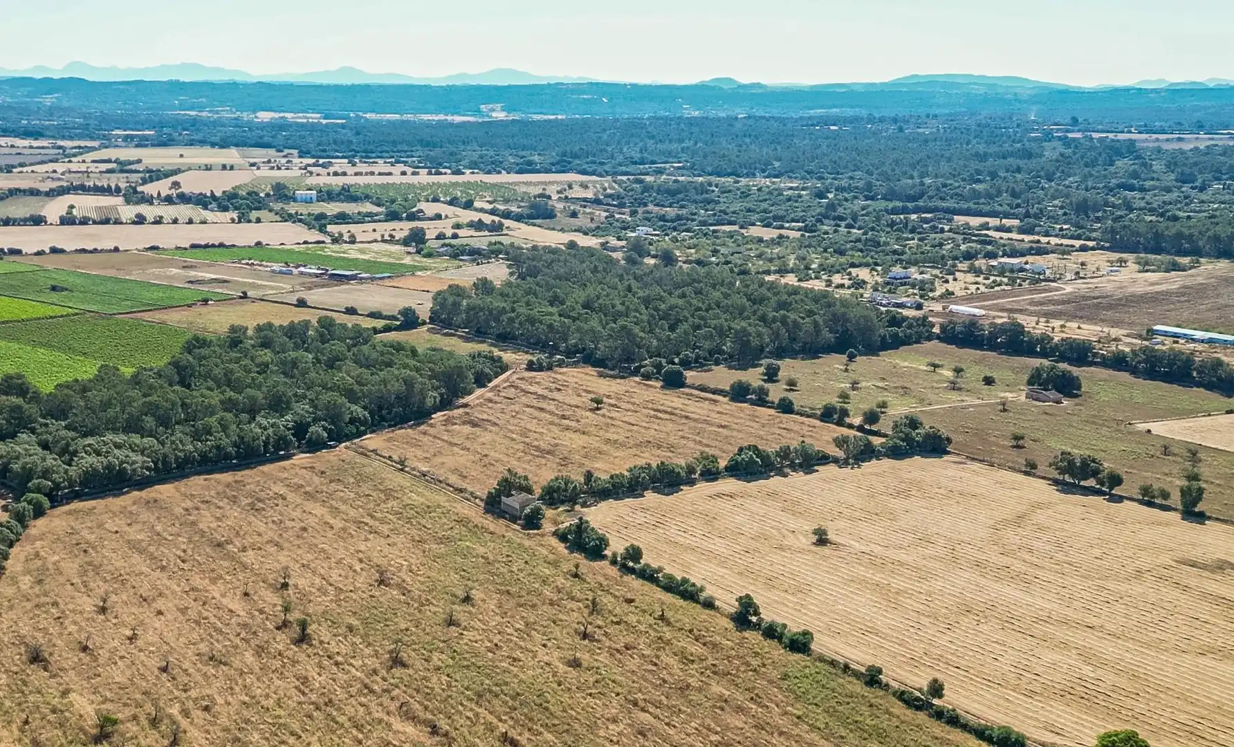 Terreny rústic en venda a Sencelles, imagen 8