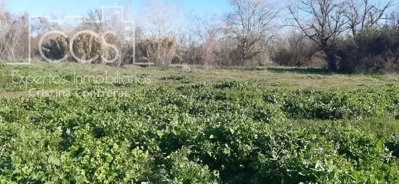 Terreni e lotti in vendita a Almonte ciudad, imagen 11