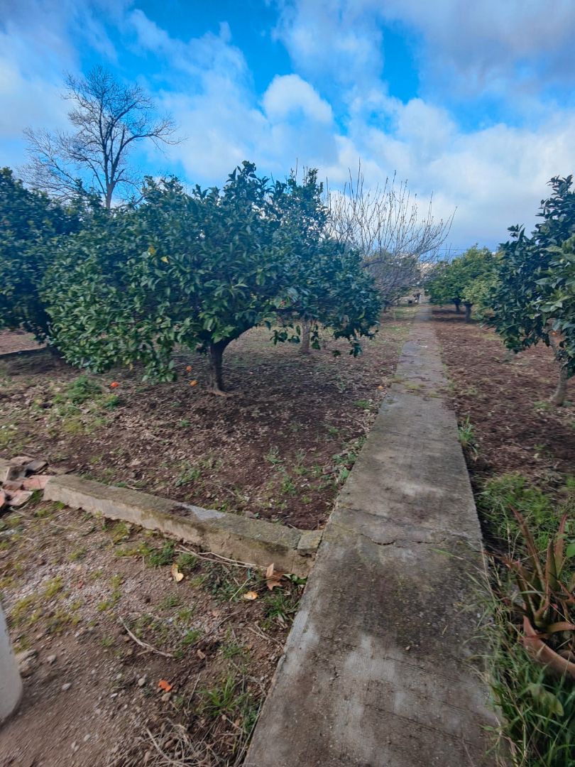 Casa o xalet en venda en Ulldecona amb Calefacció, Jardí privat i Terrassa